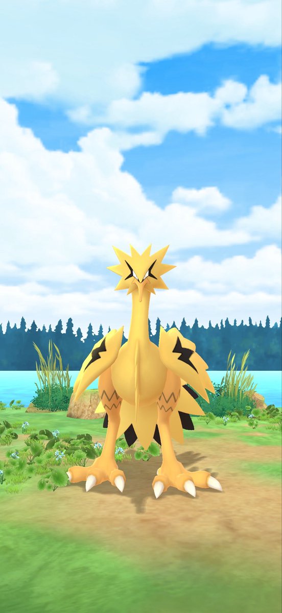 mikan_muki2's tweet photo. ポケモンGOで色違いガラル三鳥出るんだ… https://t.co/d6m4RvP6tp
