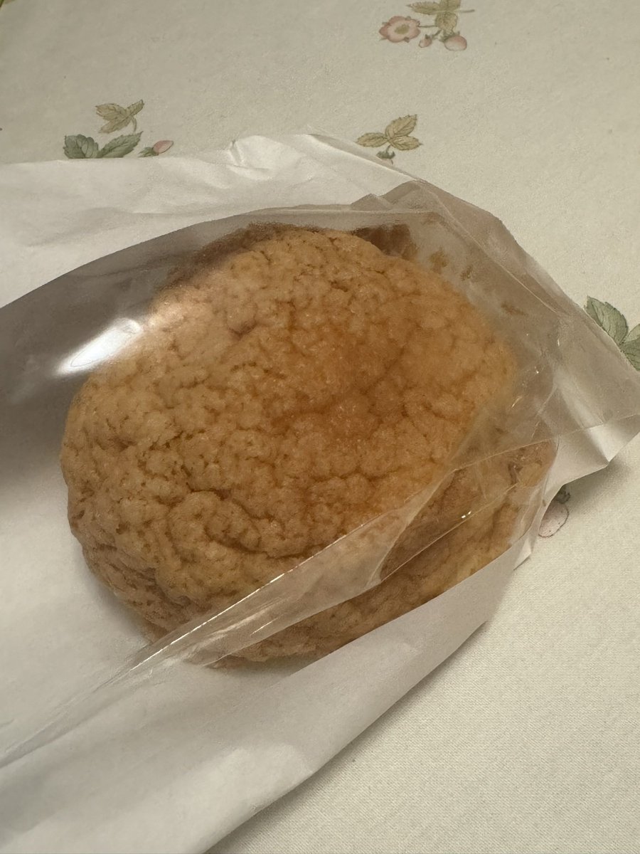 babel_nzm's tweet photo. めろんぱーんめろんぱーん　おやついただきます😋　食べたらお散歩行くぞ！ https://t.co/DKhCLFb0xC