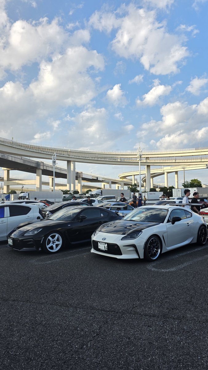 Turquoise_FOX's tweet photo. 入国ー https://t.co/NPmmcSEGV5