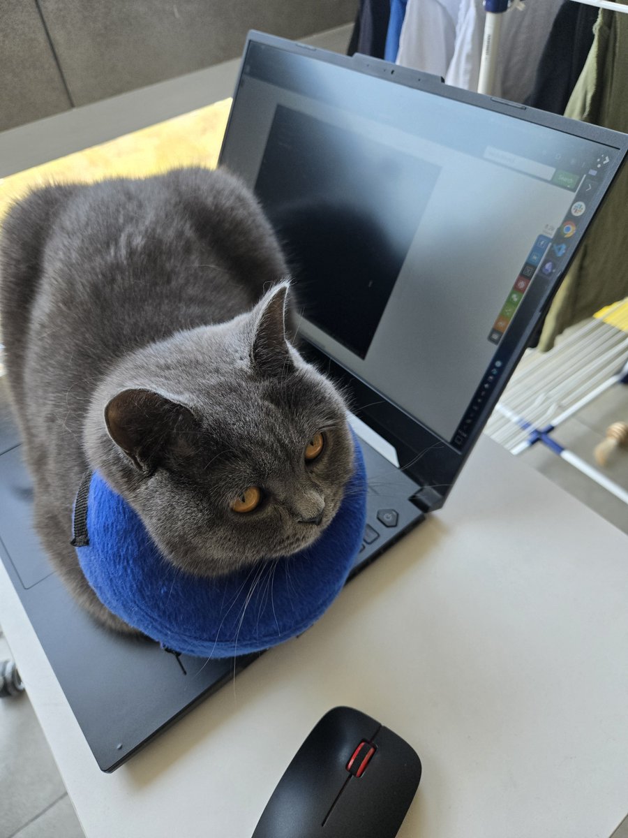 bomzgd's tweet photo. она работает, не мешайте https://t.co/yAm6uKIpjp