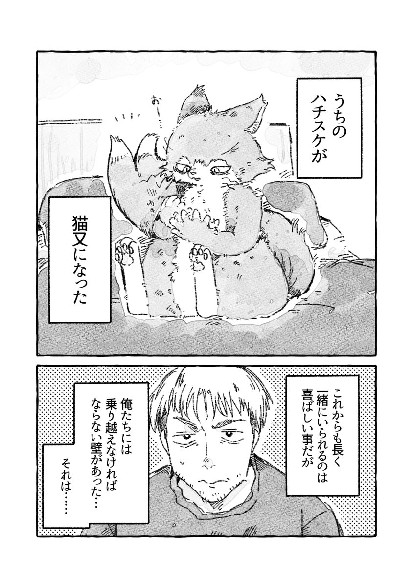 ii_ebidashi's tweet photo. うちの猫が猫又になった(1/4) https://t.co/S25BkKFnGy