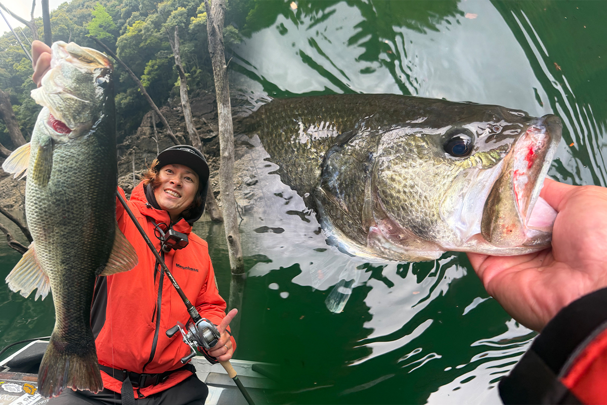 megabass_jp's tweet photo. 【Megabass Blog】狩野 陽
「池原ダム合宿!」
https://t.co/XY97HNAp5A
#必釣最前線 #メガバス #Megabass #伊東由樹 #yukiito #Magdraft https://t.co/cYzyDaxTcS