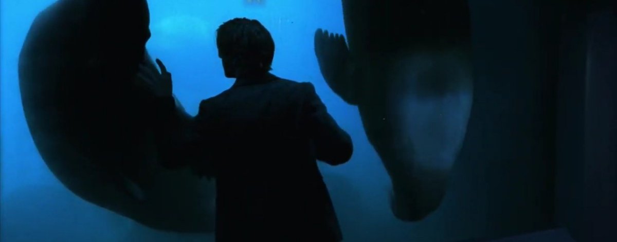 crowley_kissr's tweet photo. this scene from stay (2005) is one of the most beautiful things I've ever seen https://t.co/rVbr0n18Uj