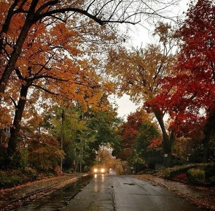 talya9646171863's tweet photo. I wish it was autumn all year round 🍂 https://t.co/1slTSzyQjv