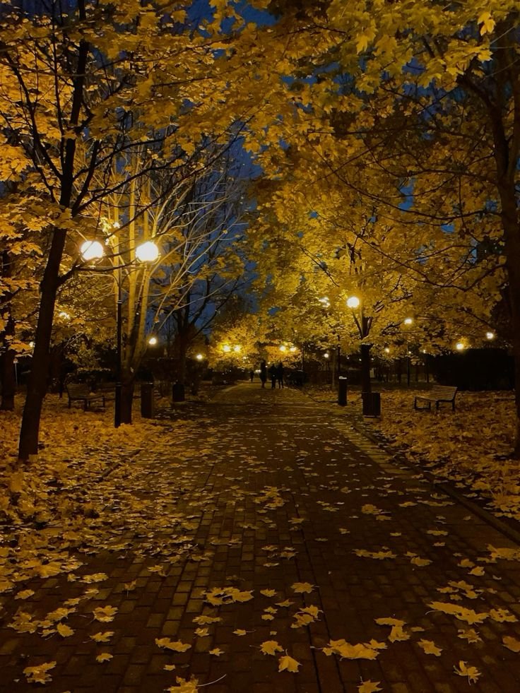 talya9646171863's tweet photo. I wish it was autumn all year round 🍂 https://t.co/1slTSzyQjv