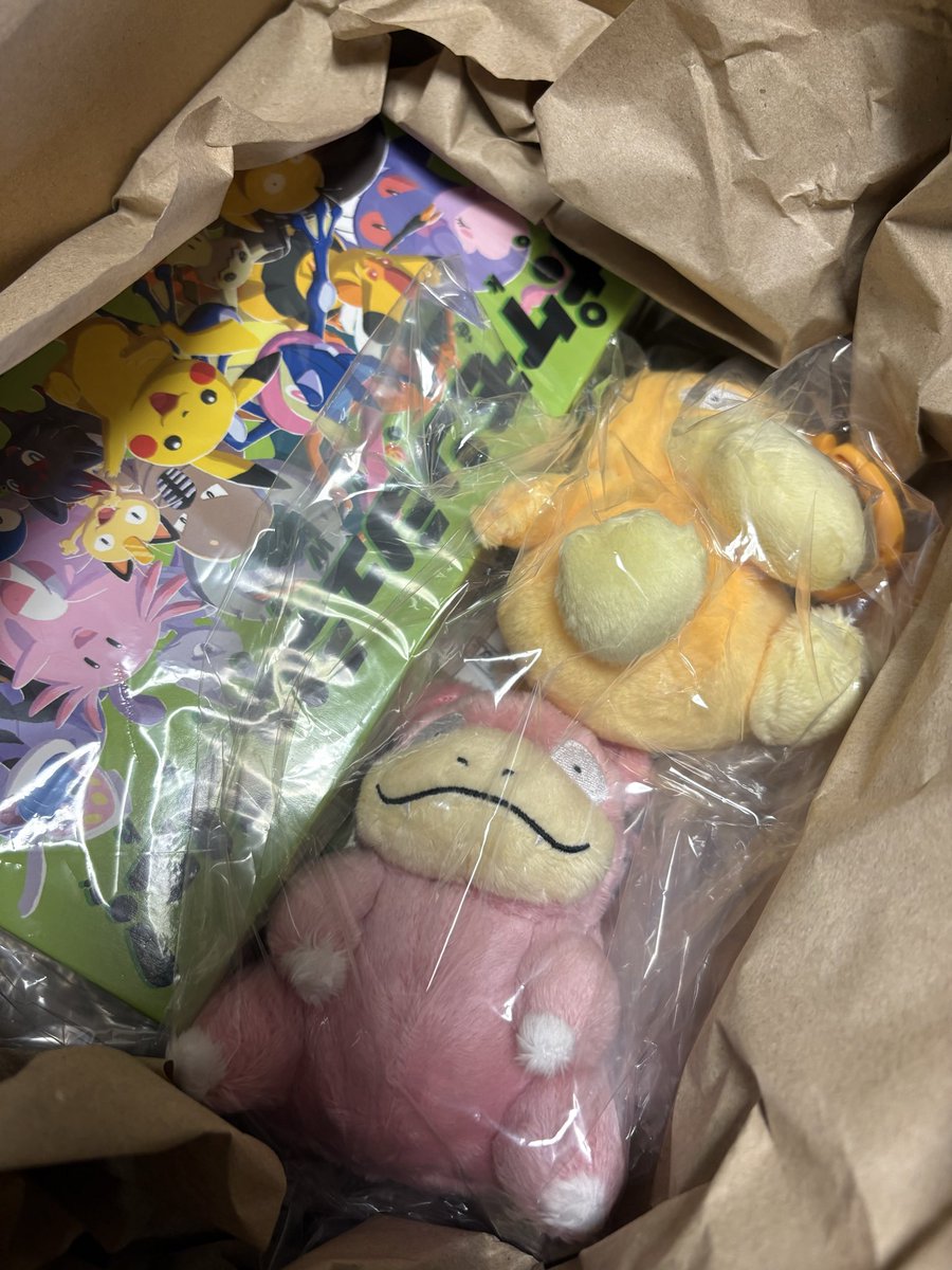 mattyan_hand's tweet photo. ヤドンの日に届いた- ̗̀📦 ̖́-
可愛すぎる！！🤦‍♀️シュシュシュも気になってたからお盆休みに家族で遊ぼ🎶 https://t.co/boMqJqnYYz