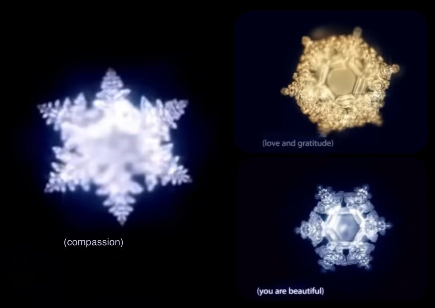 vadogray's tweet photo. water is very sensitive to program information transmitted by #consciousness or any kind of environment, and has a structural memory; it carries frequency and its fluctuations. 
the frozen water crystals with #love, #compassion (love by Buddha), #gratitude, the #beautiful. https://t.co/UDgrtGWnuv