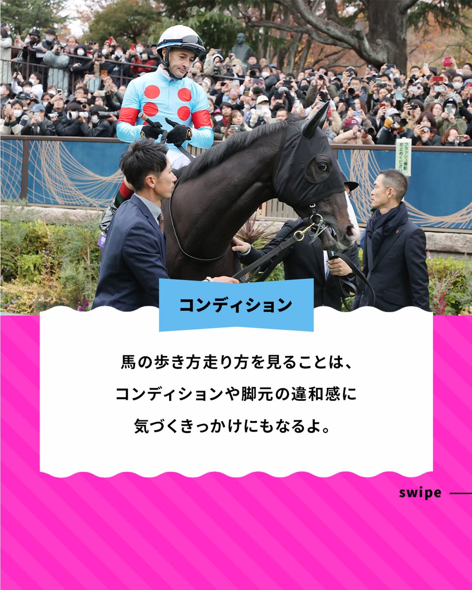umajob_jra's tweet photo. 馬の歩き方や走り方には、
速さや動き方によっていくつかの種類があるよ👀

パドックで見られる「常歩」や、
少し早いリズムの「速歩」、
キャンターとも呼ばれる「駈歩」、
レースで見られる全力の走り「襲歩」など

馬の歩き方や走り方を見ることは、
コンディションや脚元の違和感に気づくきっかけにもなるよ🏇

出典：『サラブレッド大辞典』ウマフリ 編著 カンゼン刊

#ウマジョブ #馬 #サラブレッド