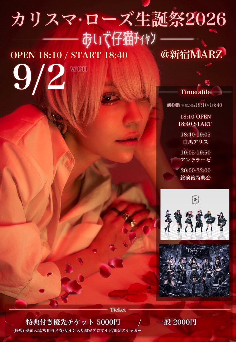 HaneAmeサイン入りブロマイド17 HaneAmeサイン入りブロマイド17 HaneAmeサイン入りブロマイド17 B+