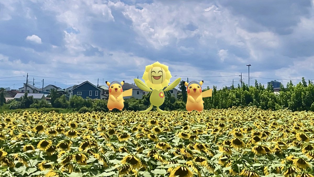 toboinsta's tweet photo. マラソンゴールはヒマワリ畑✨ / Summer Marathon Finish Line🏃
優勝は…キマワリ!?🌻
#ARofTheDay #GOsnapshotCelebration #GOsnapshot #PokemonGO #arblending #キマワリ #ピカチュウ https://t.co/o1vOI8IF19