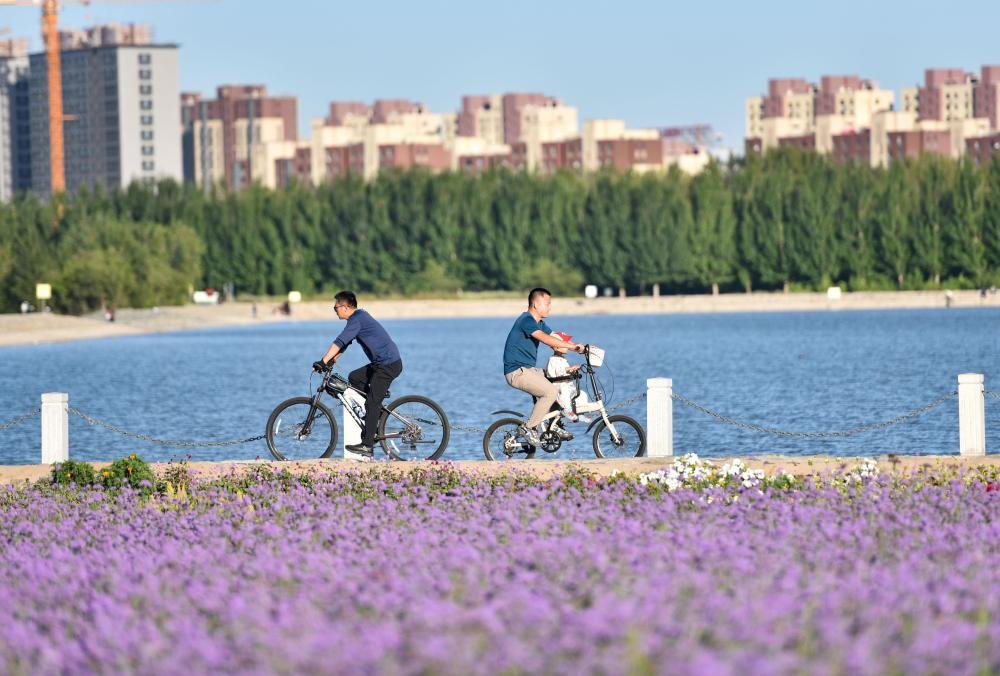 Homeqinghe's tweet photo. Lakeside flower fields, cycling and strolling. Enjoy the relaxing urban leisure time.
#china #neimenggu https://t.co/g9B1vod8QY