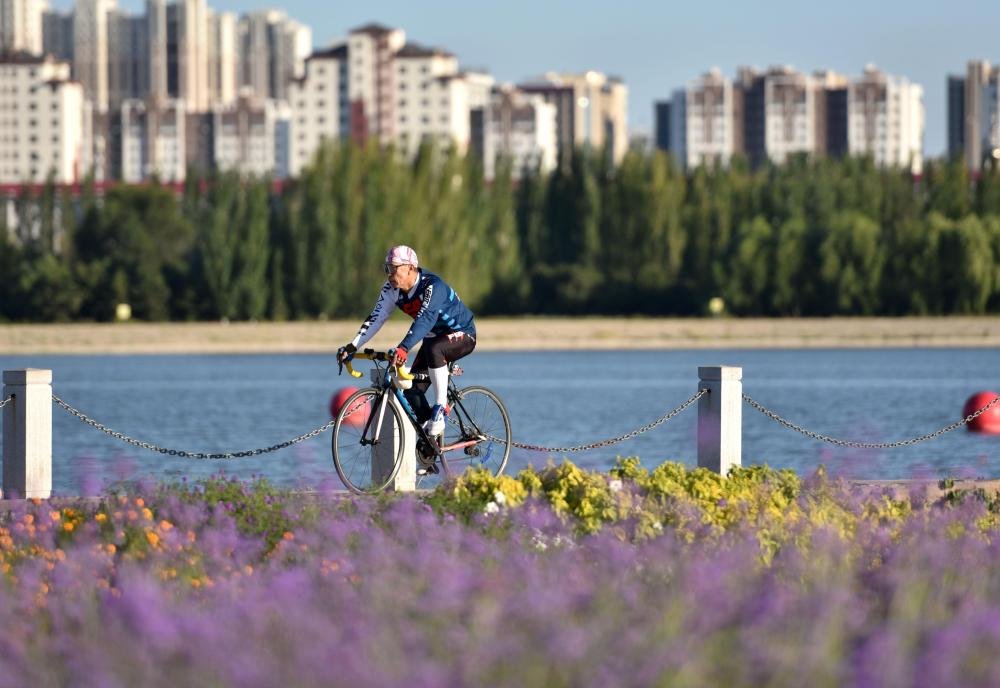 Homeqinghe's tweet photo. Lakeside flower fields, cycling and strolling. Enjoy the relaxing urban leisure time.
#china #neimenggu https://t.co/g9B1vod8QY
