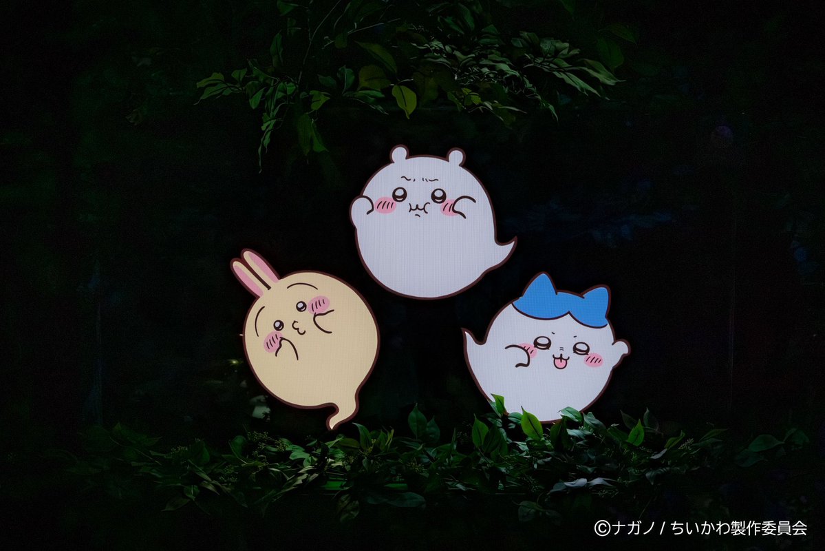 wanidayowani's tweet photo. なんやこれ…可愛すぎでしょ！！！ https://t.co/BWNlNywvmU