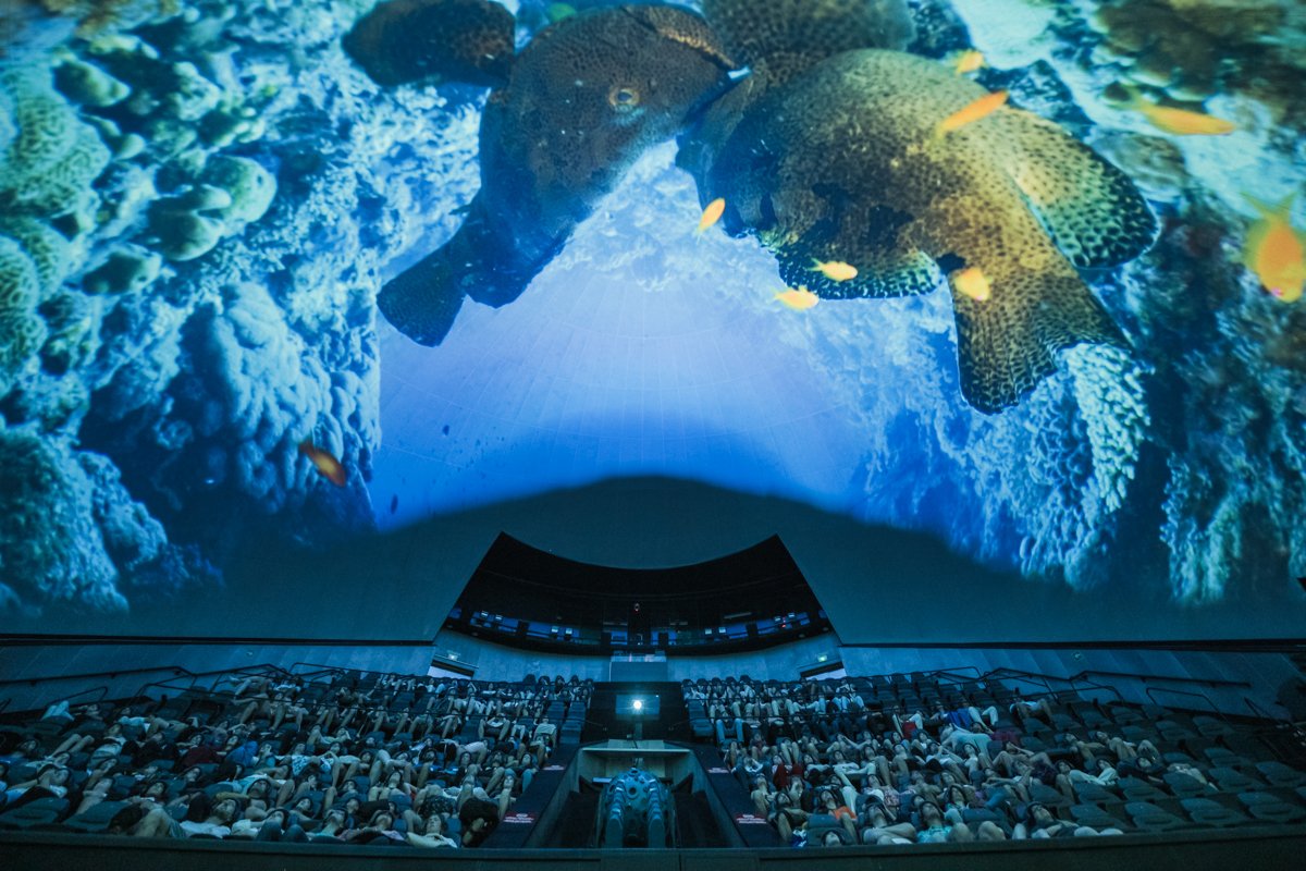 CACiencies's tweet photo. 🌊🌊Es el espacio más grande y desconocido de la Tierra

🐠🪸Alberga una biodiversidad extraordinaria con criaturas asombrosas🐙🐳

🌍Un inmenso mundo inexplorado que sostiene la vida en nuestro planeta

 #OceansCAC #Hemisfèric https://t.co/eND5iRBkzz