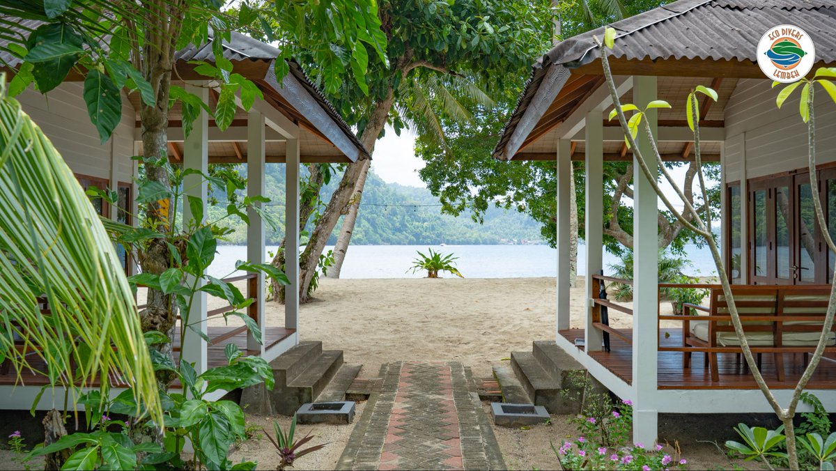 EcoDivers's tweet photo. From the shade of our cozy porches to the warm sand of the beach, every corner here invites you to relax and recharge after a day of incredible diving. See you in Lembeh! 🤿💙

#EcoDiversLembeh #EcoDivers #WhiteSandsBeacResortLembeh #LembehStrait #ScubaLife #NorthSulawesi https://t.co/tmkis77wHM