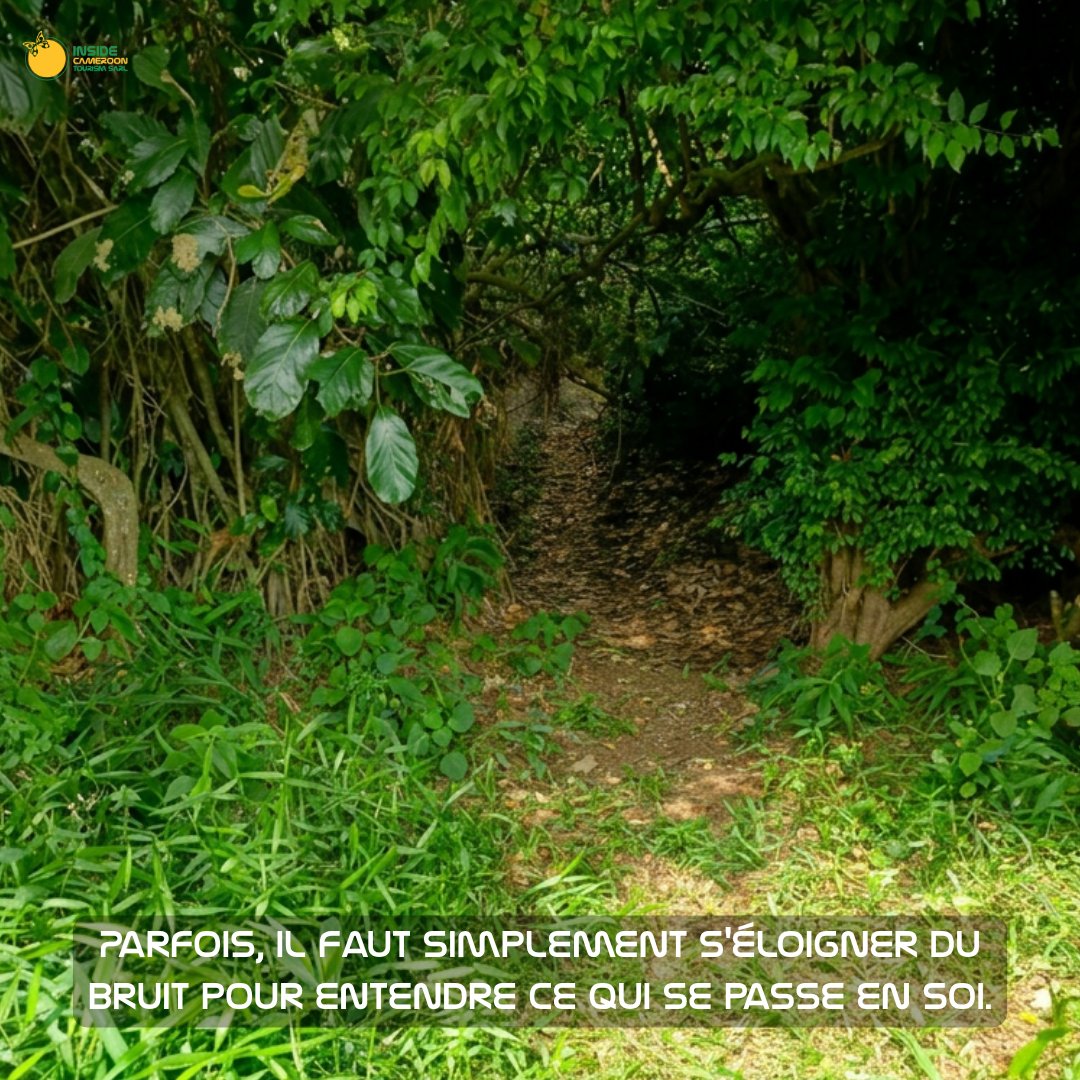 insidecameroon's tweet photo. Parfois, il faut simplement s’éloigner du bruit pour entendre ce qui se passe en soi.

Quitter la ville.
Marcher.
Respirer.
Écouter.
🌿 Et si la nature était notre meilleure pause ?
👉 https://t.co/cmA2mEu6LT https://t.co/nbucBhEM2X