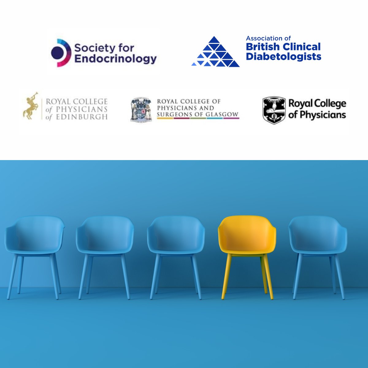 ABCDiab's tweet photo. Applications are open for Chair of the Endocrinology &amp; Diabetes Specialty Certificate Examining Board. 

The role will lead the SCE Board and help ensure the highest academic standards for the specialty.

Apply by 25 August https://t.co/MtnZSDY9zQ https://t.co/kkDfYp5PML