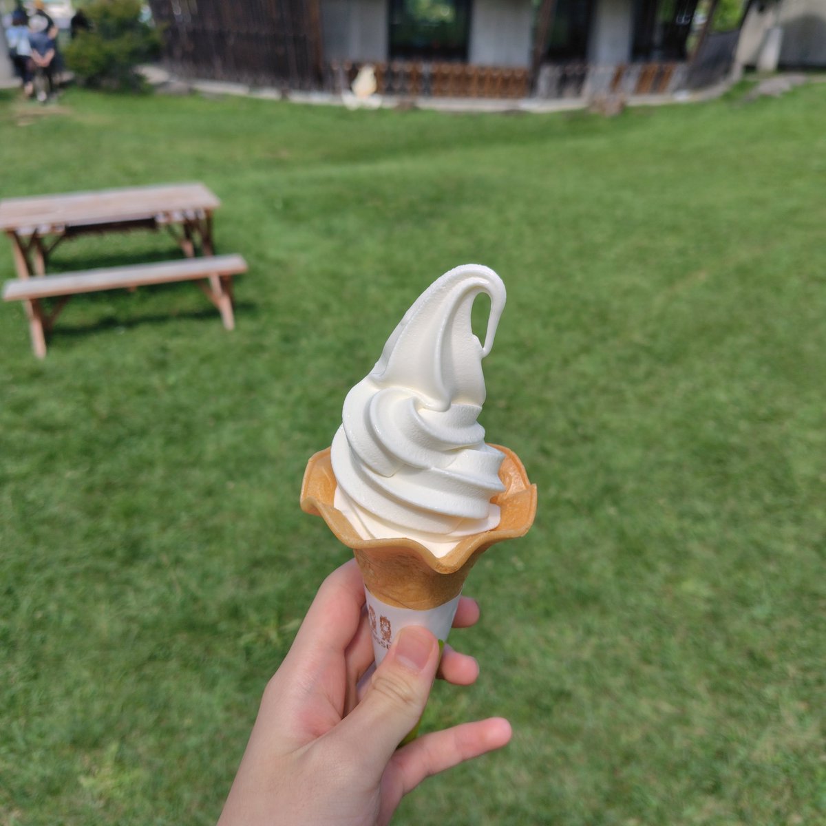 MintiChoco99554's tweet photo. アイスと花 https://t.co/DAzGGSe1et
