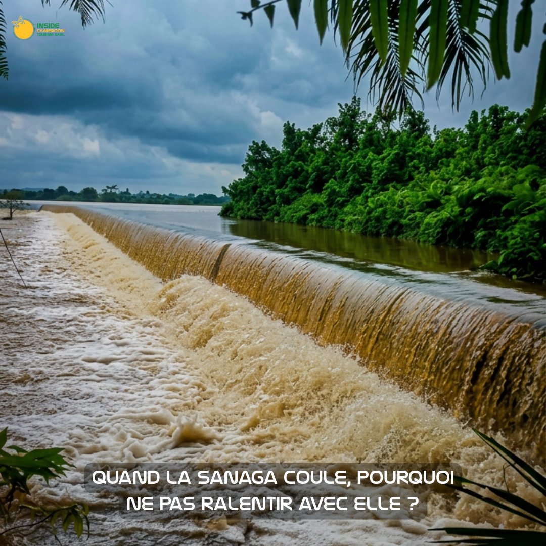 insidecameroon's tweet photo. La Sanaga ne court pas.
Elle avance à son rythme. 🌊
Alors pourquoi courons-nous autant ?

Et si votre prochaine randonnée était simplement l’occasion de ralentir avec elle ?
🥾🌿
👉 https://t.co/cmA2mEu6LT https://t.co/6Uqlyx5M5e