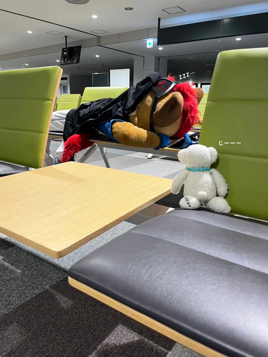 airdo_hokkaido's tweet photo. なんだか見覚えのあるキツネがいる・・・|ω・）ｼﾞｰｰ https://t.co/kXeZcRDsRt