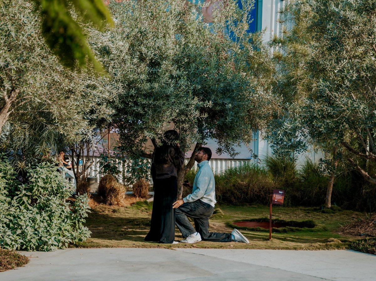 FarzaTV's tweet photo. chat she said yes https://t.co/OEA7hBLhsz
