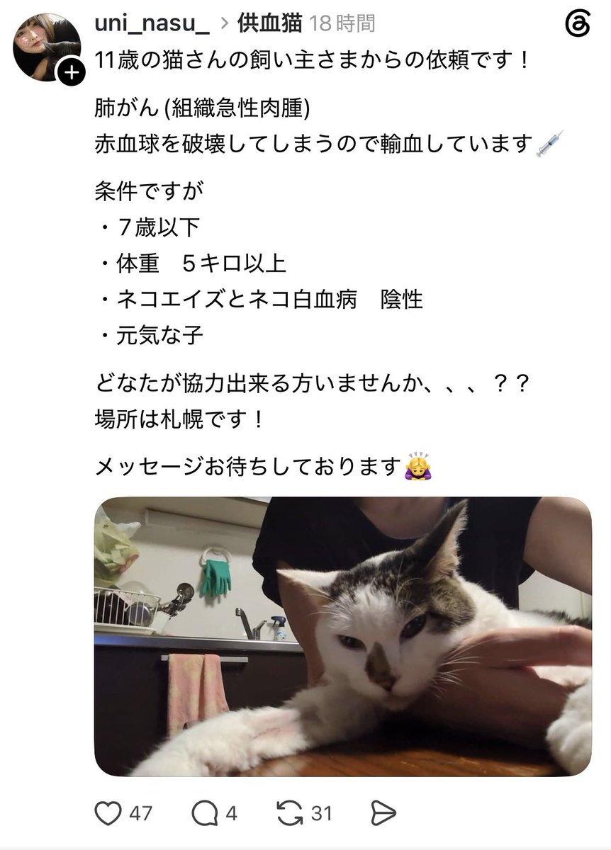 Apple20130506's tweet photo. https://t.co/ryszRoEk5U https://t.co/8tmGej7kY5