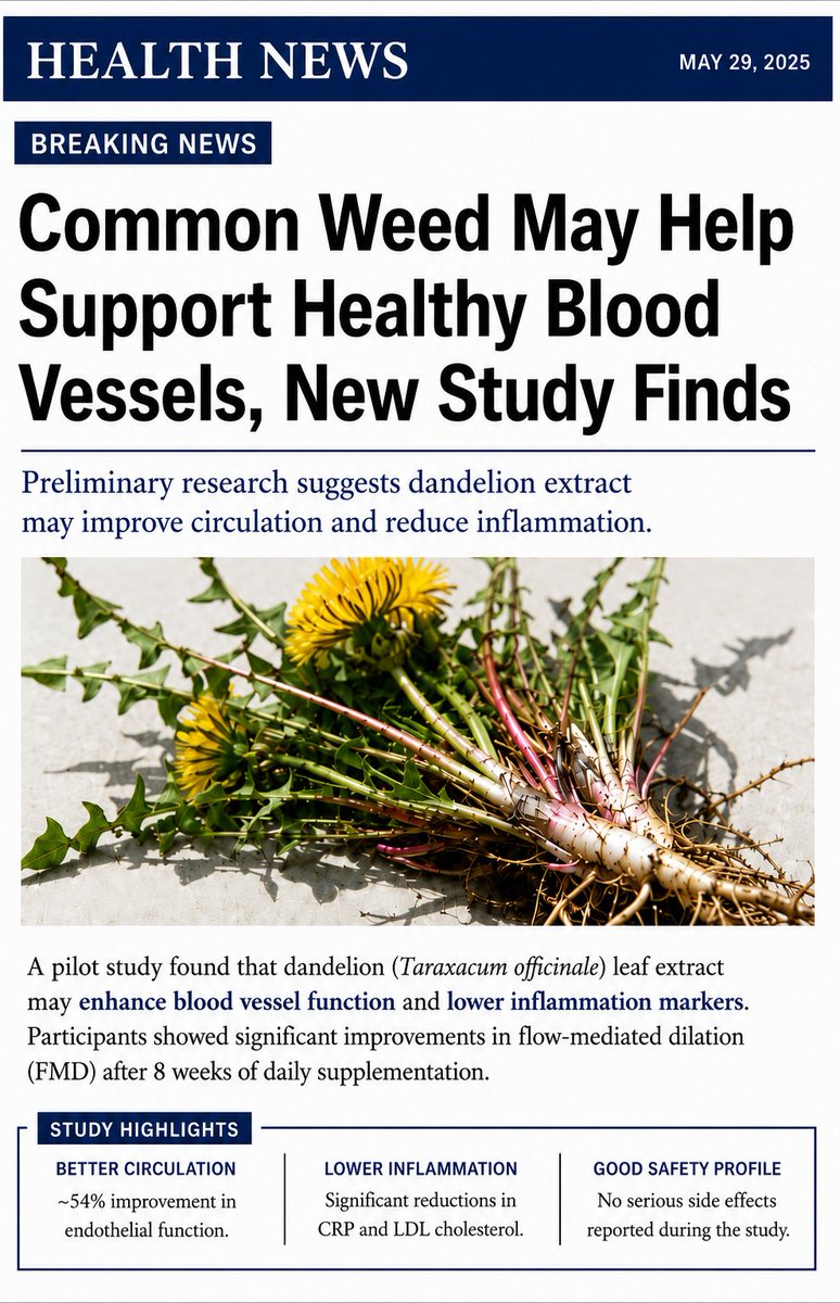 ivermectin24hr's tweet photo. 🔬 A pilot study explored dandelion extract and endothelial function after 8 weeks of supplementation.
Preliminary results warrant further investigation—not definitive conclusions.
#MedicalResearch #DandelionExtract #ClinicalResearch https://t.co/h89t4I5tUK