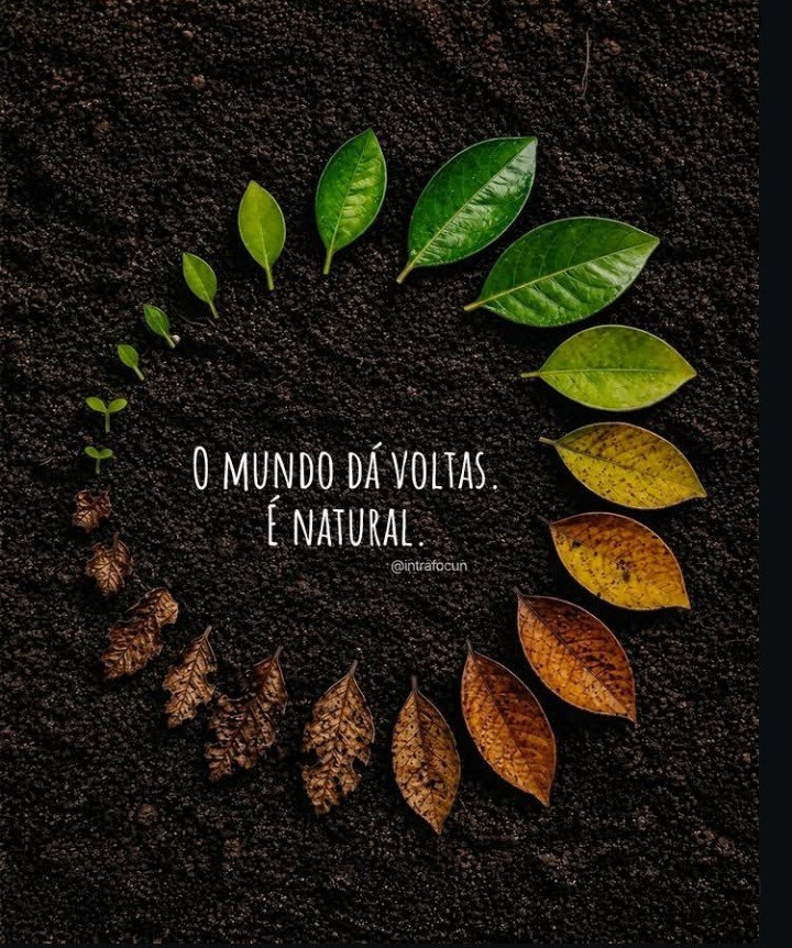 soudesabafosofc's tweet photo. https://t.co/JLPSzdz1MZ