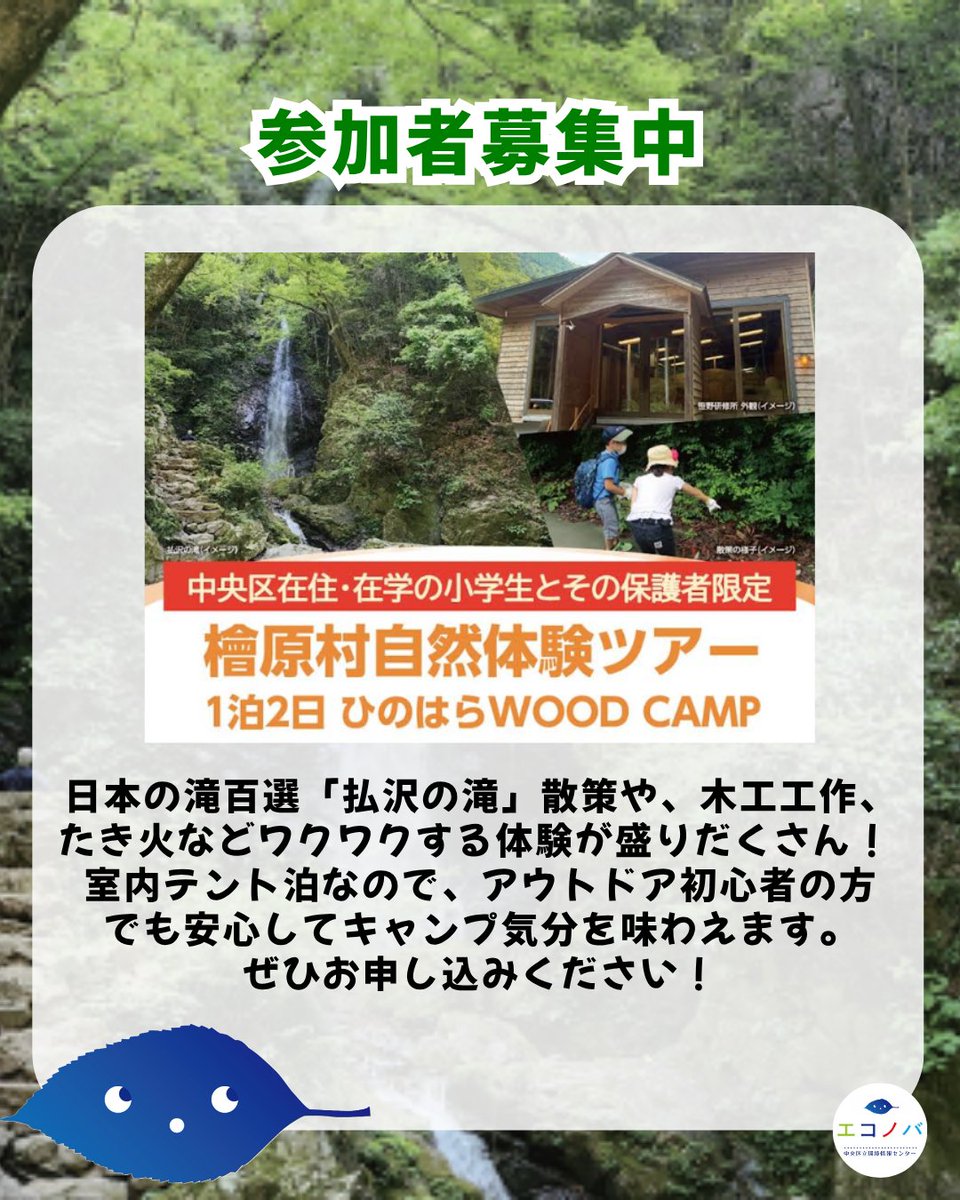 eicchuo's tweet photo. 日本の滝百選にも選ばれている「払沢の滝」散策、木工工作やたき火などを体験します。
1泊2日の宿泊ツアーで室内でのテント泊です。
●対象者
 区内在住・在学の小学生とその保護者
●日程
 9月26日（土）から9月27日（日）
●申込期限
 8月17日（月）午後5時まで
https://t.co/i2LYVnKKSD https://t.co/AvSsH7DZmi