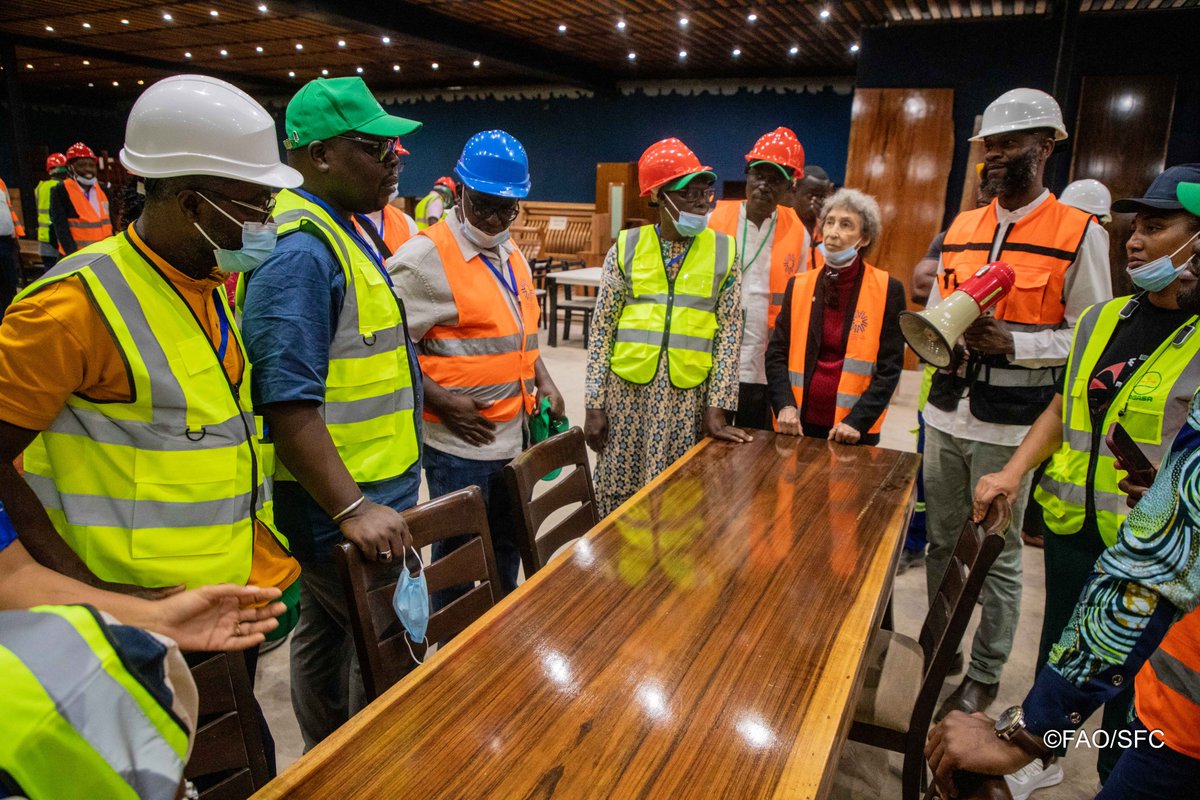FAOAfriqueCent's tweet photo. Après les sessions théoriques de l’atelier régional Afrique de la #CIPV, les participants ont visité, le 7 août, la Zone économique spéciale de Nkok. Une immersion au cœur de la filière bois pour découvrir l’application concrète des normes phytosanitaires
@agasa_gabon 
@ippcnews https://t.co/bzGLxbB3oT