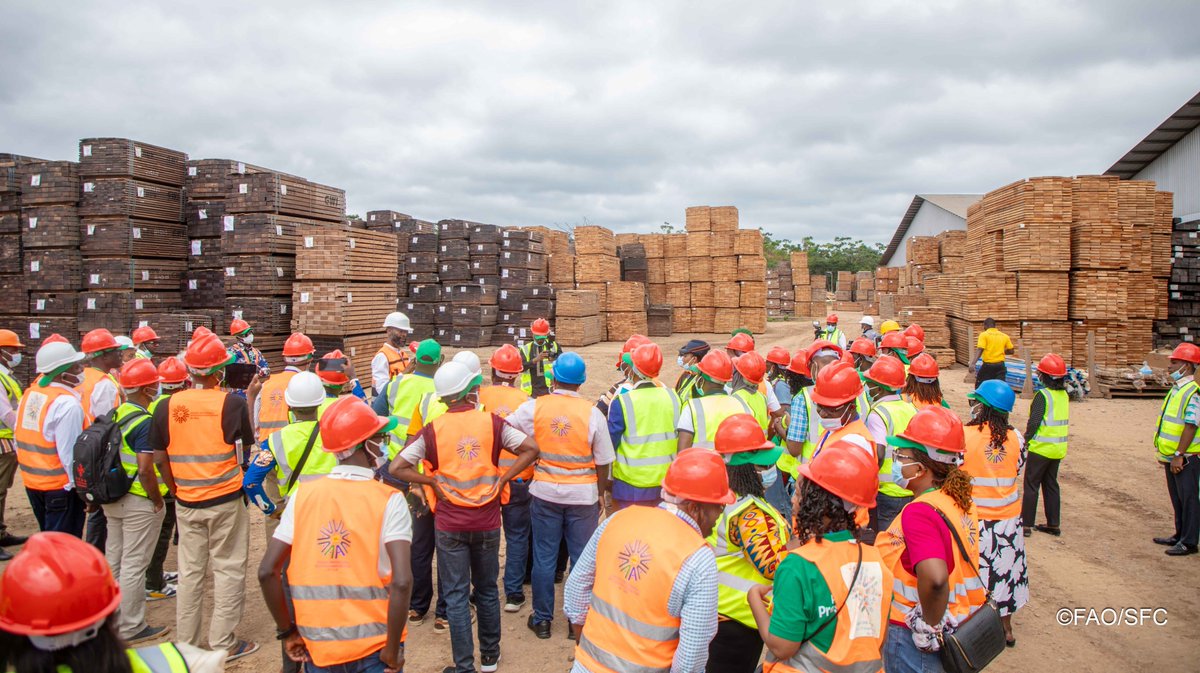 FAOAfriqueCent's tweet photo. Après les sessions théoriques de l’atelier régional Afrique de la #CIPV, les participants ont visité, le 7 août, la Zone économique spéciale de Nkok. Une immersion au cœur de la filière bois pour découvrir l’application concrète des normes phytosanitaires
@agasa_gabon 
@ippcnews https://t.co/bzGLxbB3oT
