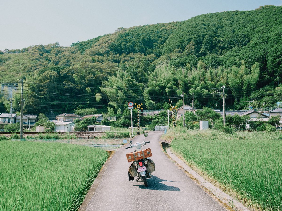 naotokirimare's tweet photo. 日本の夏といえば田園風景ですよね https://t.co/lB2rD5FIEG