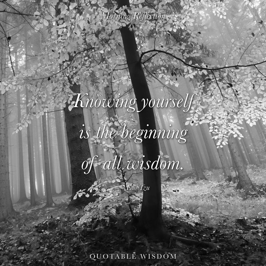 amishdc's tweet photo. "Knowing yourself is the beginning of all wisdom." — Lao Tzu

#TaoistWisdom #TaoTeching #QuotableWisdom https://t.co/5JQpI0d81C