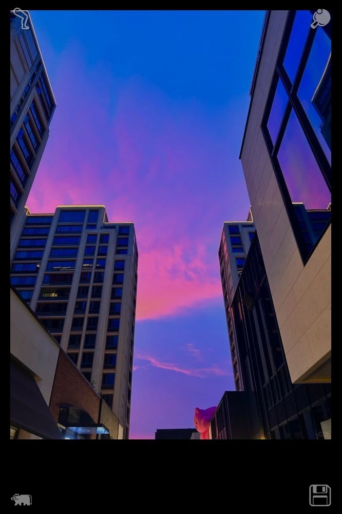 KevinGConklin's tweet photo. Clara gave a nod, and the two of them headed down the narrow lane, each step sending water scattering from the puddles beneath them. The downpour intensified, and gusts of wind grew stronger, hurling leaves and litter through the air around them. 🌞On a sunny note, the balcony n https://t.co/SzwoofDjiy