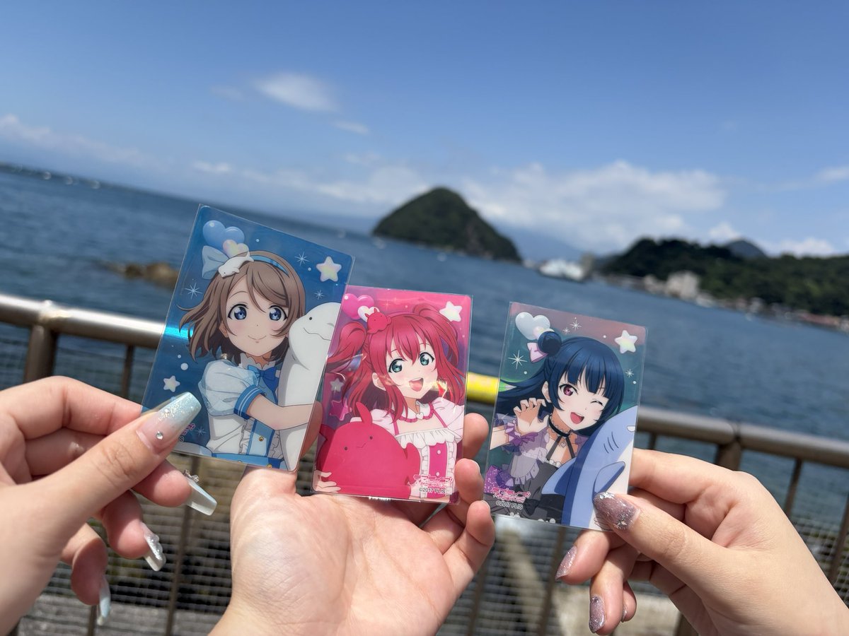 kkr_M's tweet photo. みとしー行ってきたよ🐬 https://t.co/LyTmFE6286