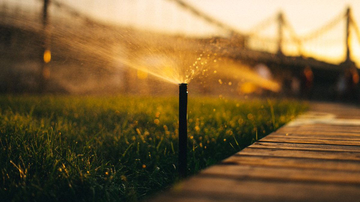 AguasdeAviles's tweet photo. 💧 ¡En el jardín o en el huerto podemos llegar a malgastar mucha #agua! 
⌚️ Evita las horas de mayor evaporación para regar tus cultivos o plantas y ten en cuenta sus necesidades hídricas, no es imprescindible regar todos los días. 

ℹ️ https://t.co/c9i1khtppq

#AguasDeAvilés https://t.co/XEppiTZeMV
