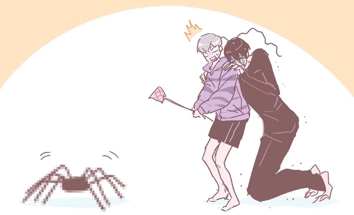 drawdrawbal's tweet photo. 농발거미 (무사히 방생함) https://t.co/HuKR909Az3