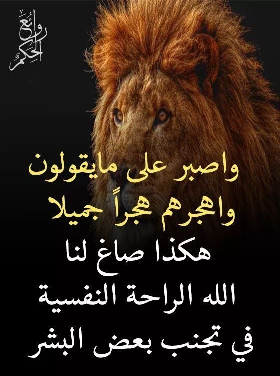 hus551's tweet photo. https://t.co/psl8UGzicG