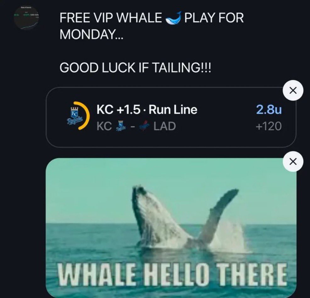 CashBabyo2's tweet photo. FREE VIP WHALE ๐ PLAY FOR MONDAY ** #Gambling๐ #mlbbets
โพ๏ธBASEBALLโพ๏ธ
Lets get this whale caught for 2 in a row today!!!!! New streak running!!!!!
Good luck if tailing!!!
@playbook
https://t.co/zaGnT0aYzt https://t.co/8A8fW0un1X