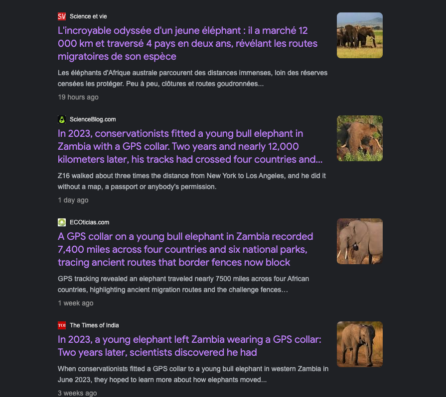 devvie258560's tweet photo. Z16 has been travelling since 2023, crossing 12,000 km, 4 countries, and 6 national parks.

He’s literally “The Odyssean Elephant.” 

For two years, WWF has been tracking him with a connected collar, and now, he’s finally coming back.

The story has been going viral over the past week, and I’m convinced the big media outlets are already talking about him.

Google News : https://t.co/0RzwN5AaP8

x comm : https://t.co/gKdAbcj9g0