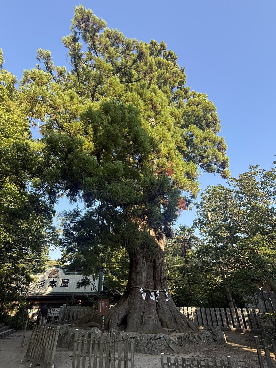AY19960130's tweet photo. 明日頑張って起きて茎崎顔出しに行く所存でございます。 https://t.co/0iHsiC5Y5R