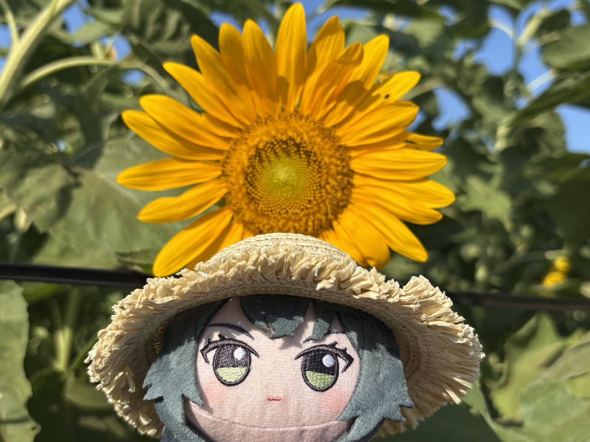 v602j0921's tweet photo. めっちゃいい https://t.co/V68KKluyKO
