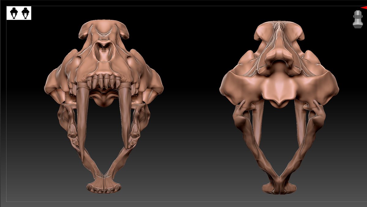 w_u_72's tweet photo. 劍齒虎 原型製作-小吳
#bone #zbrush #原型 #劍齒虎 https://t.co/Fu9IKuNHVg