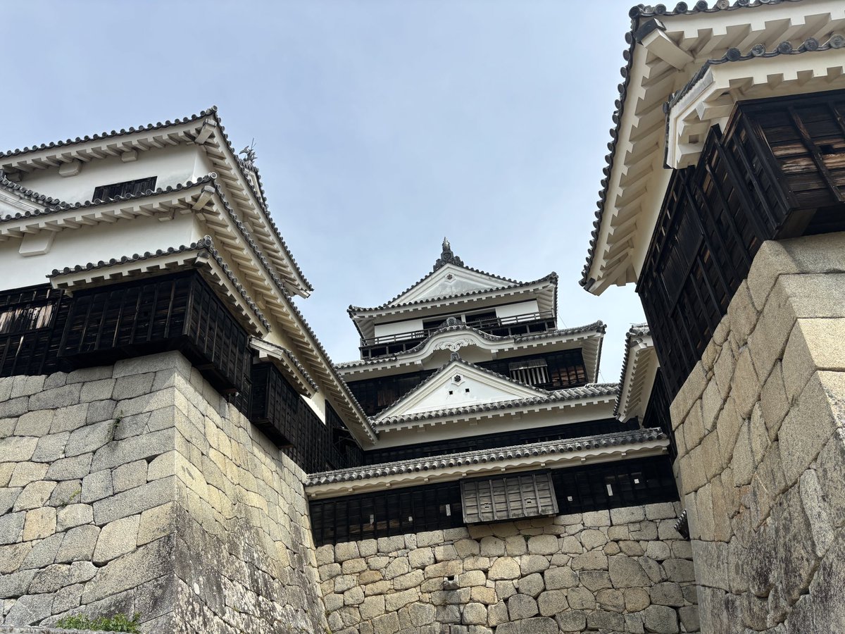 yukko178's tweet photo. 旅の最後は松山城🏯からの鯛めし。
奈良サ��さんもちょいちょいみかけました。
長い旅も今日で終わり。暑かったけど楽しかったー。
#山雅サポ高知遠征 https://t.co/BHGFzCF91a