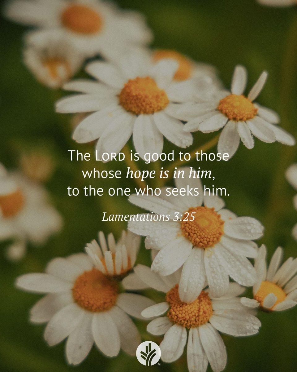 ourdailybread's tweet photo. Connect with God through today’s devotional! 
https://t.co/NX2U4QyDsx 

📖 Read: Lamentations 3:19-26

🙏 Receive: "Dear God, thank You for offering me a renewed relationship with You."

❓Respond: Are you looking for hope? How is God inviting you to hope in Him? https://t.co/CGvs9smsUT