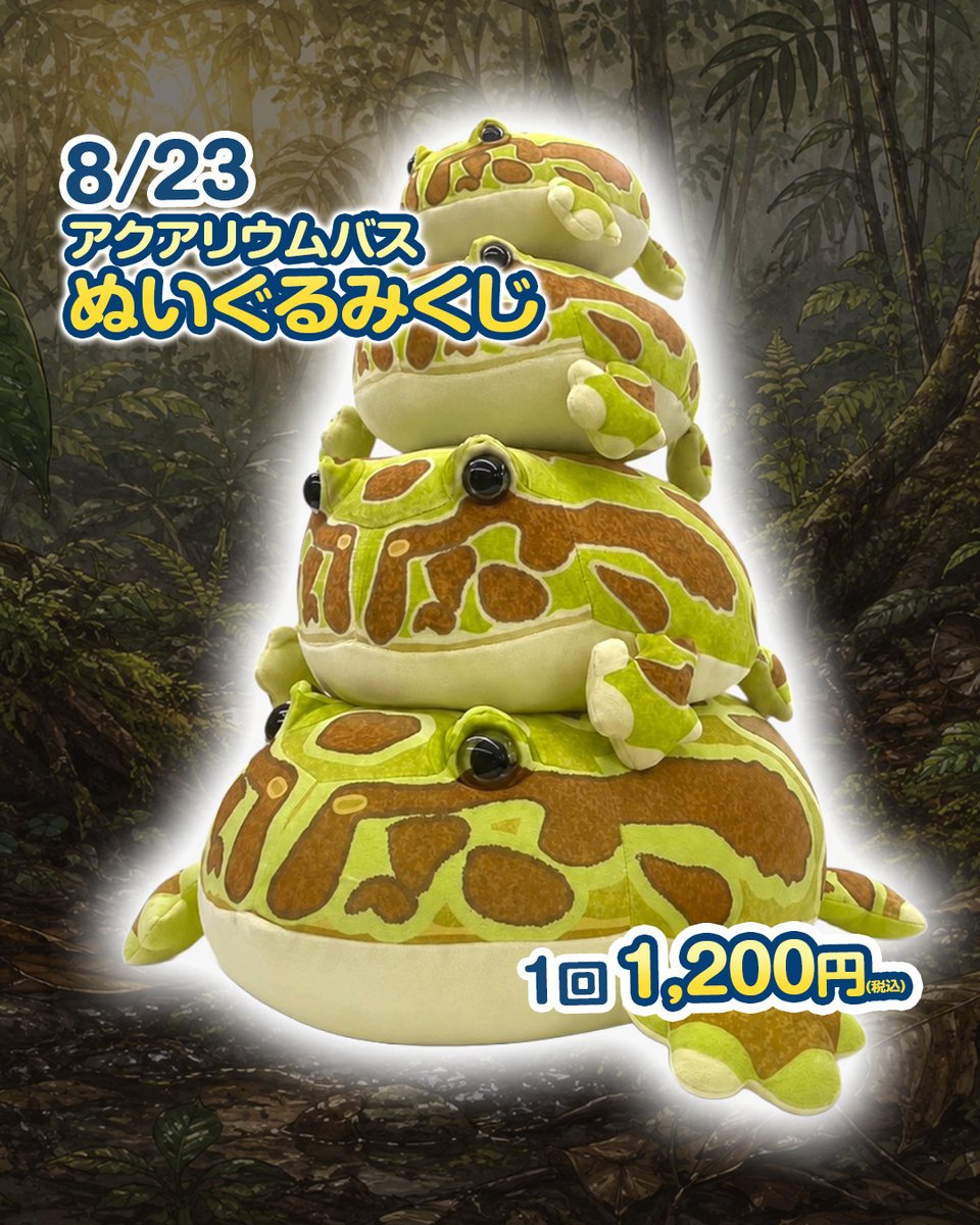 aquariumbus's tweet photo. 8/23開催のアクアリウムバス
毎回大好評のぬいぐるみくじを開催！

今回はツノガエルの2色！

1回 1,200円（税込）／ハズレなし！
さらに、特賞は特大サイズ

サイズ
特賞 45cm
2等 30cm
3等 25cm
4等 20cm

どれが当たっても可愛い！
お子さん連れの方も、ぜひ挑戦してください

なくなり次第終了です https://t.co/b7I2SZaWRF