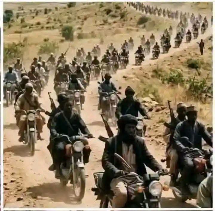 D_EnglishAlhajl's tweet photo. A group of bandits has been reported to have emerged from Sangeko Gap in Zamfara and reached Makuku town in Kebbi State. Security forces, including the army and mobile police, are presently engaged in intense combat with the bandits. Meanwhile, local residents have commenced evacuation. The bandits' horde is estimated to be around 240 strong, operating in three groups, and riding motorcycles. A significant concern is the presence of informants allegedly providing the bandits with real-time positions of security personnel. Pray for our military
