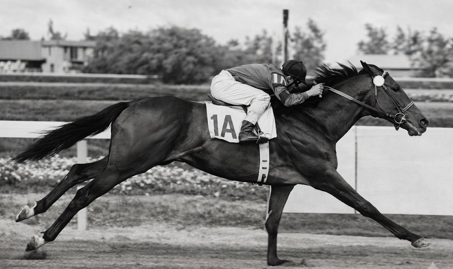 blindadosalas1's tweet photo. #Hipismo #InMemoriam El 10/08/1958 falleció PONDER 🇺🇲 Crianza y propiedad del #CalumetFarm Campeón de 3 años. #KYDerby #JockeyClubGC #AmericanDerby Padre de NEEDLES, Campeón de 2 y 3 años. Abuelo de NEEDLES N PENS, líder semental en Venezuela. https://t.co/puorap6FmU