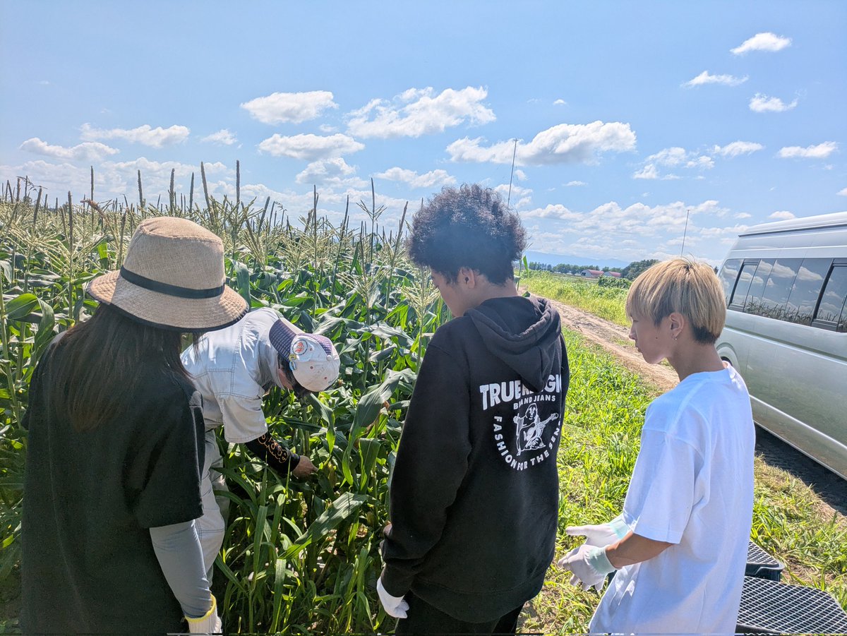 itoconchi's tweet photo. ピッカピカのお天気のなか、いとこ達と一緒に　#野村ファーム北海道　さんへ行ってきました！
見渡すかぎりのとうきび畑、「好きなだけ採っていいよ〜」となんとも太っ腹なお言葉に甘えまくって、めちゃくちゃ取りまくってきました🌽🌽🌽
明日、このとうきびでワクワク楽しいことしちゃいます🌽 https://t.co/4cetWG3EGj
