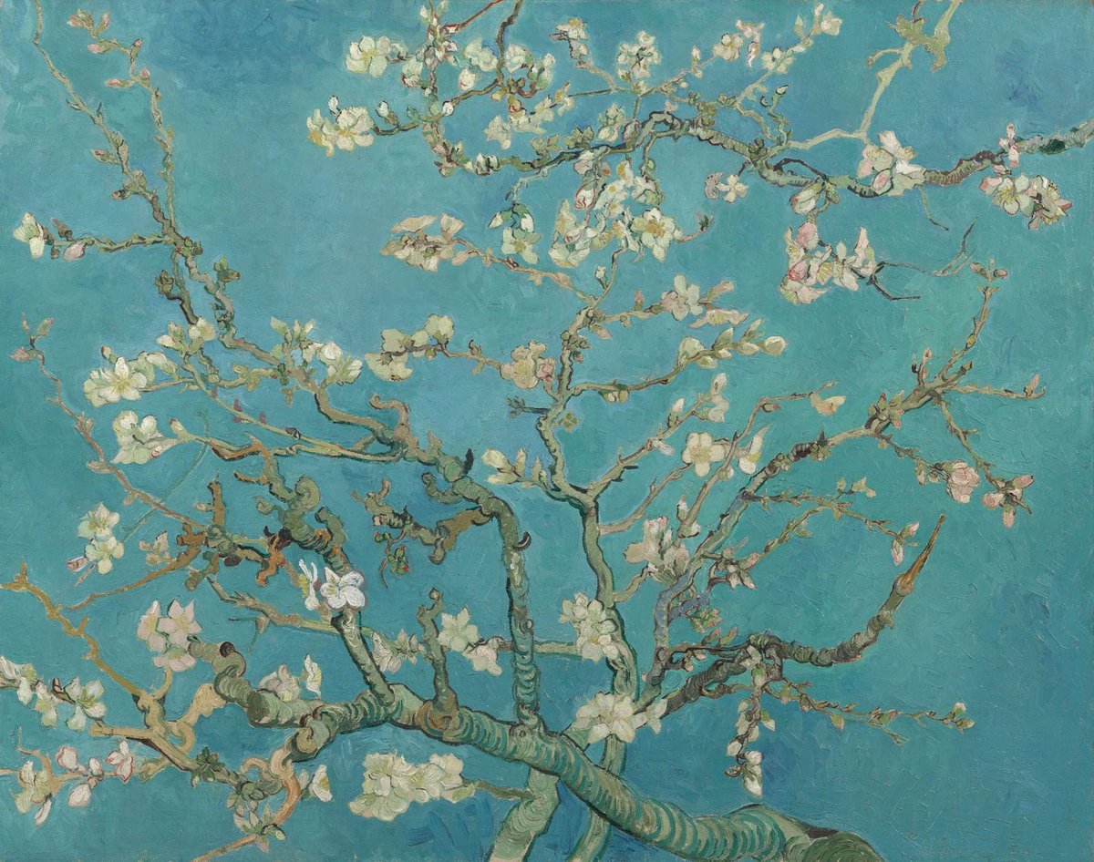vangoghmuseum's tweet photo. Every painting has details that are easy to miss if not pointed out. 👈👇☝️
In ‘Almond Blossom’, Vincent first painted the branches, then filled in the sky around them. It's a subtle detail, but one that tells us something about how he worked on this painting.

🖼️ ‘Almond Blossom’, 1890 © Van Gogh Museum